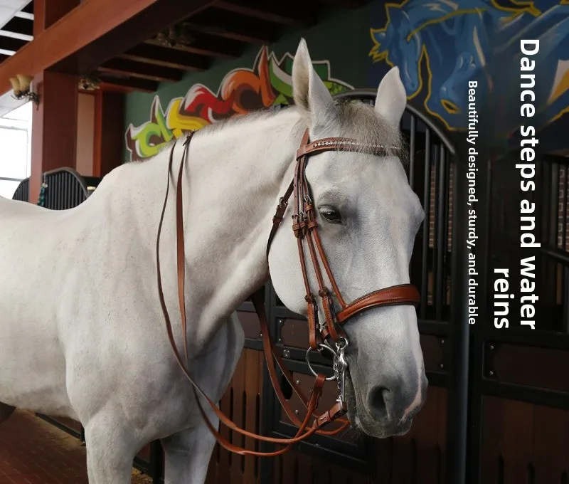 Dance Steps,Reins,Cowhide,Rhinestones,Harnesses,Equestrian Supplies,Wholesale
