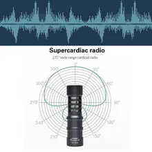 Directional Microphone #3