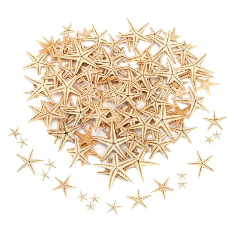 5/25/50/100 pcs Sea shells  Mini Starfish Craft Decoration Natural Sea Stars DIY Beach Cottage Wedding Decor crafts wedding