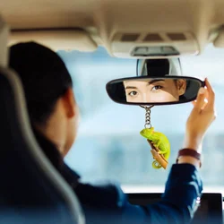 Cute Cartoon Acrylic Chameleon Keychain Novel Animals Pendant Versatile Charm for Car Mirror,Wallets,Backpacks,Home,Gift & Decor