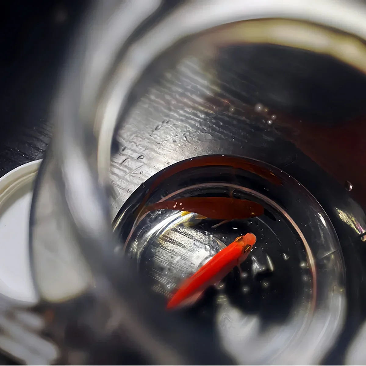 Garrafa mirage por j.c truques de magia pequenos objetos aparecendo em garrafa vazia produção de moedas de peixe dourado close-up ilusão truque