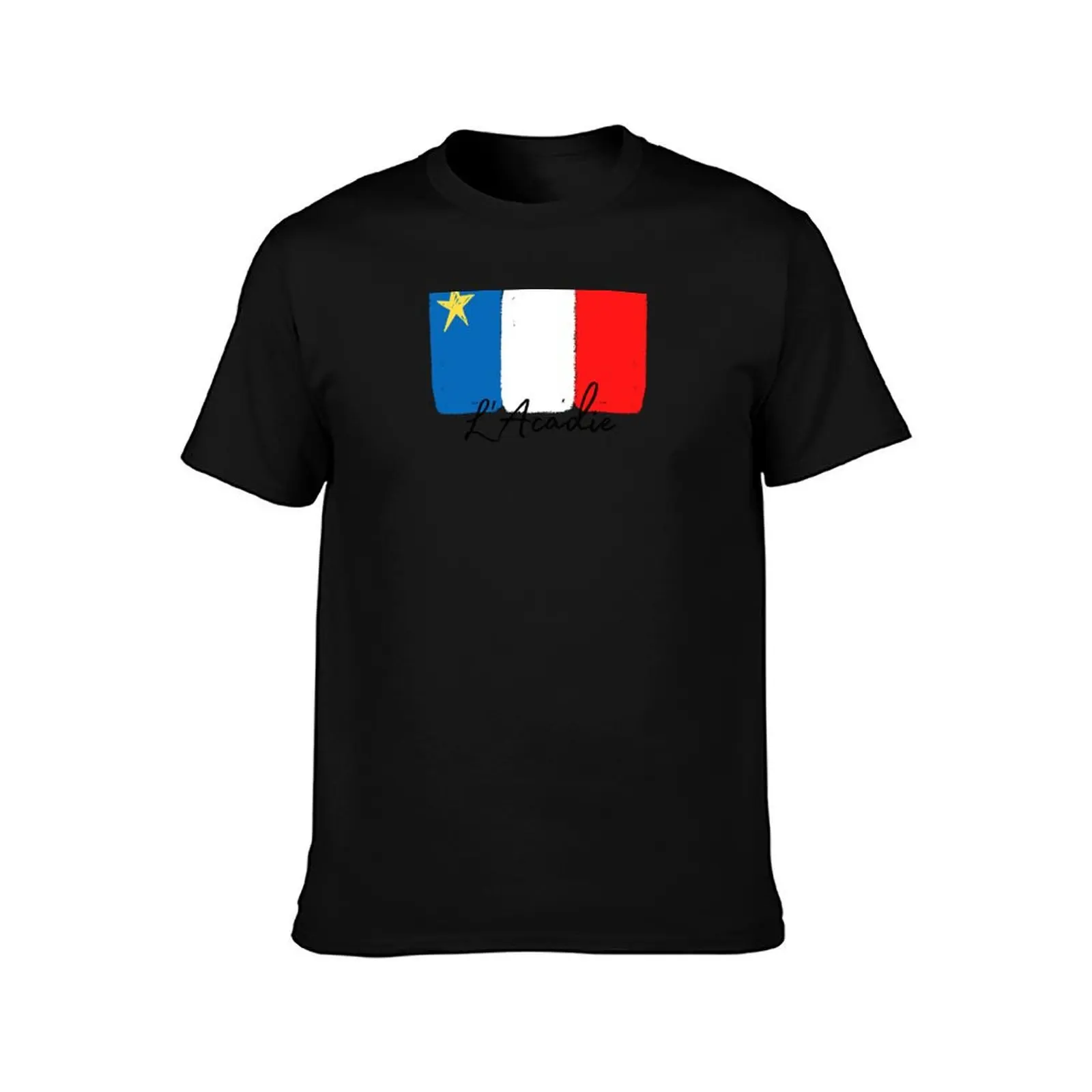 Acadian Flag (Painted Style with French L'Acadie text) T-Shirt vintage Aesthetic clothing funny t shirts for men