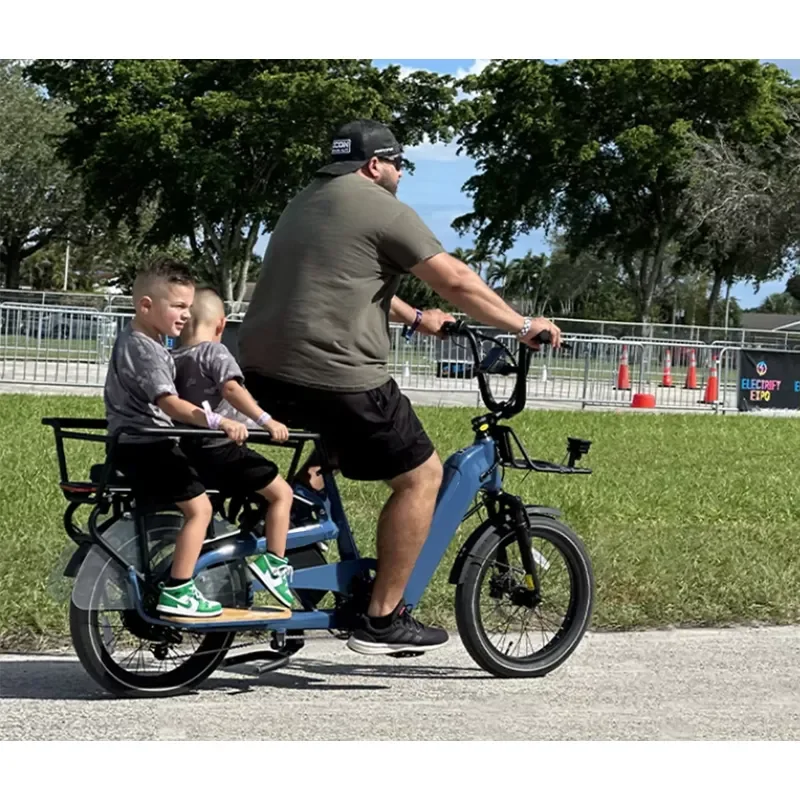 Factory Direct Hot Sale 20 Inch 750W Cargo Electric Bike Plus Kid Seat City Urban Dual Battery Powerful OEM for Adult
