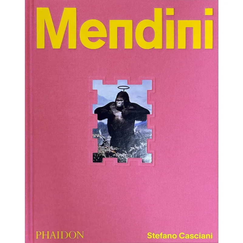 

Alessandro Mendini Stefano Casciani Phaidon Press 9781838668679 Книга