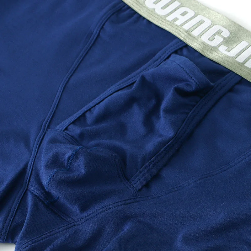 Solid Color Modal Material Breathable Boxers with Separated Pouches for Men