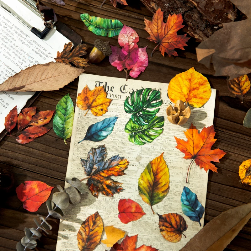 20pcs Large Size Non Repetitive Retro falling maple leaves Stickers Creative Handbook Scrapbook DIY Material Stationery Stickers