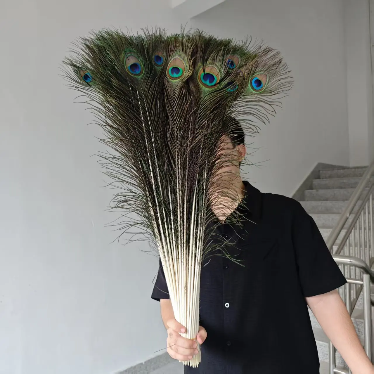 Natural Peacock Feathers 60-70cm 70-80cm 10-100pcs Peacock Tail Feathers for Wedding Home Decor DIY Craft Vase Party Decoration