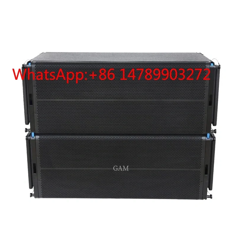

800W Powered Dual 10‑Inch Line Array Speaker Passive Subwoofer Neodymium Magnet for Stage DJ Professional Audio System