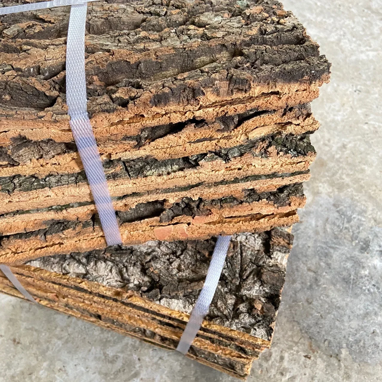 15/30/40cm Drift Wood aquario acessório pet accessories Climber Reptile Lizard bark champagne tree bark Cork Pet Decoration
