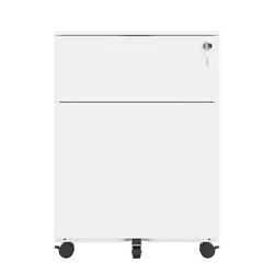 Steel Mobile File Cabinet With 2 Drawers Lock Steel File Cabinet For Home Office Legal Letter A4 F4 Size