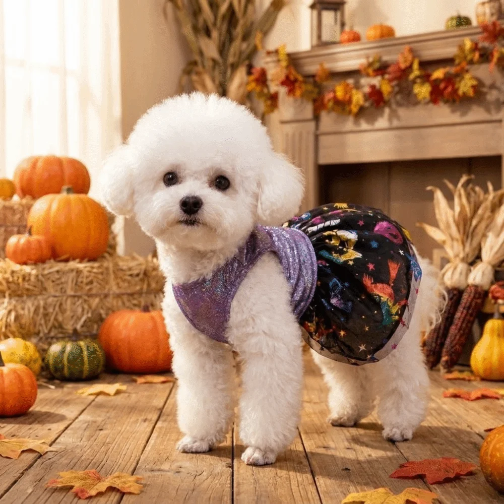 Breathable Halloween Pet Laser Dress Soft Spider Web Pattern Dog Pumpkin Dress Comfortable Halloween Dog Clothes Halloween Party