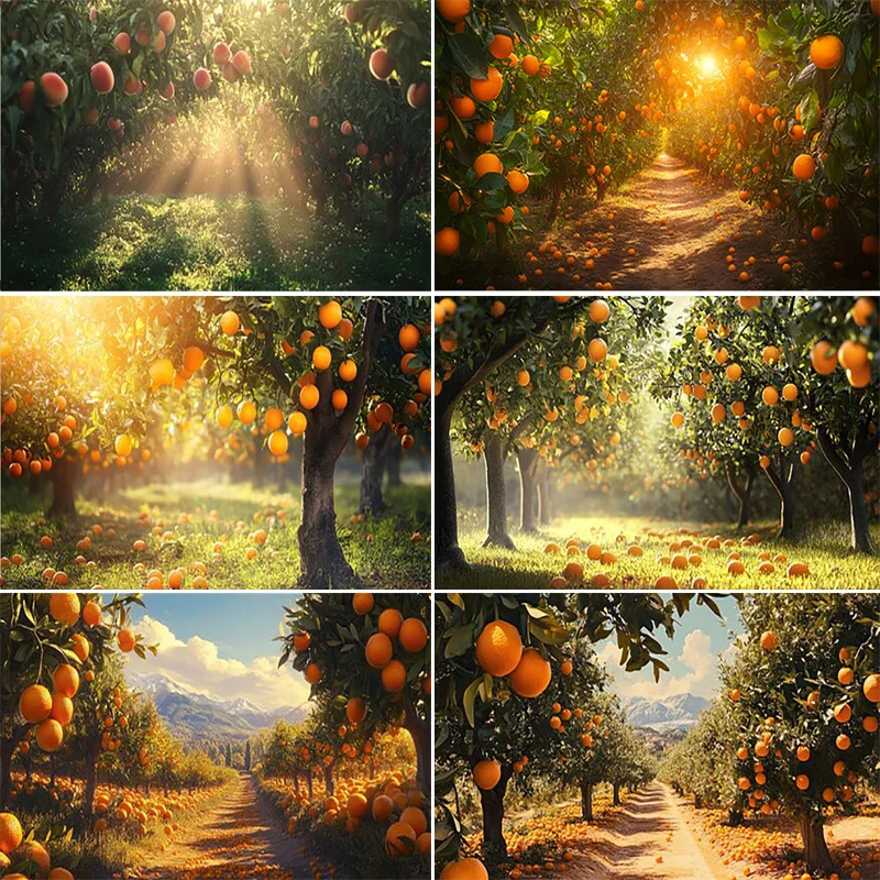 

Orange Tree Orchard Harvest Photography Backdrops Natural Grapefruit Baby Shower Party Decoration Photo Studio Background CZ-02
