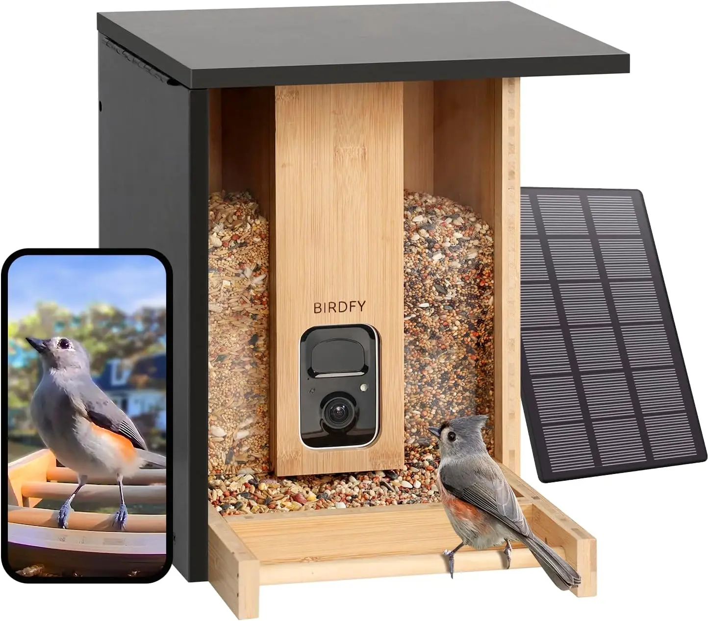 Birdfy Upgraded Smart Bird Feeder Camera Solar Powered Auto Capture Birds & Notify in Time Powerful AI Recognition