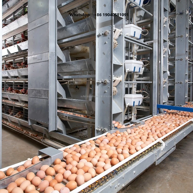 Farming Closed Chicken House Design Galvanized Steel Automatic Egg Collecting System Poultry Battery Cage Equipment