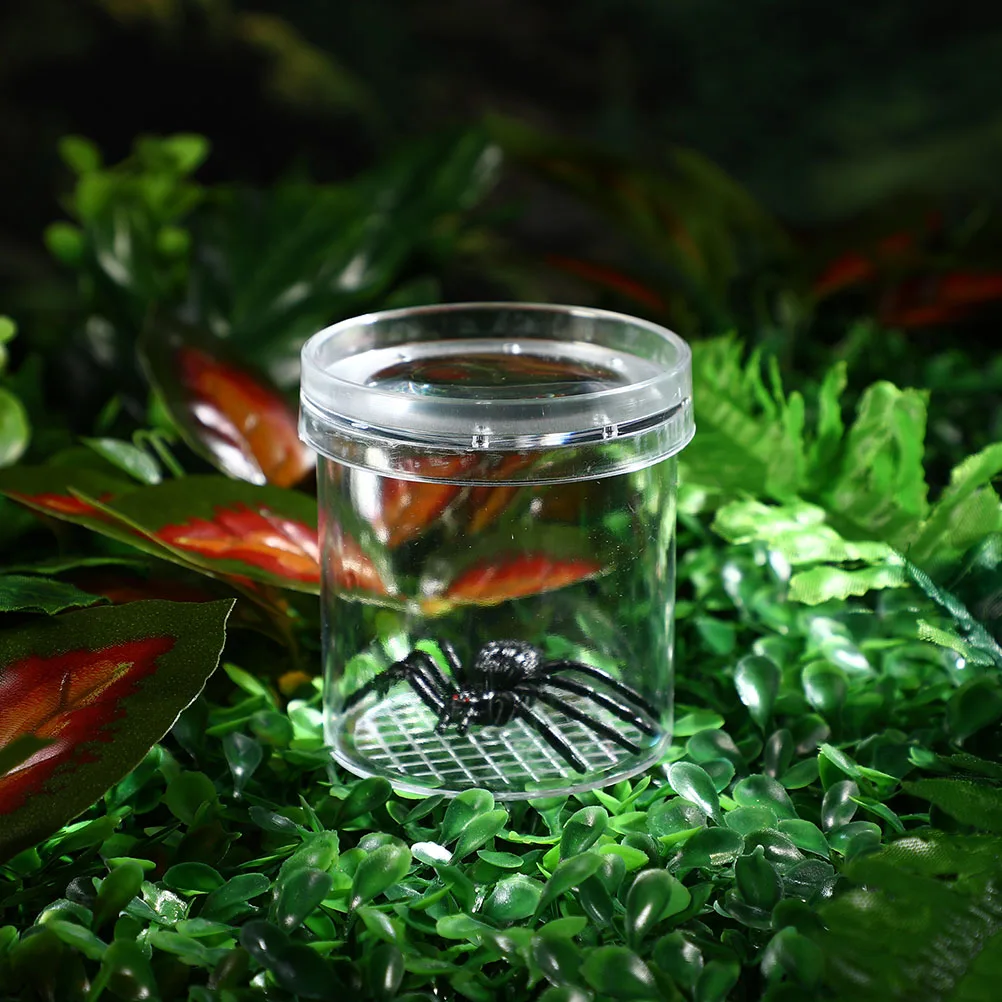 

10 Pcs Insect Observation Cup Kids Toys Containers Outdoor Boxes Children Viewer Bug Catcher Magnifying Insect Box Critter