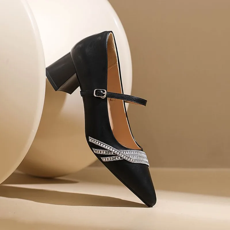 

Women's Rhinestone Mary Jane Heels, Pointed Toe Block Heel Pumps, Elegant Office Party Dress Shoes in Black/Silver/White