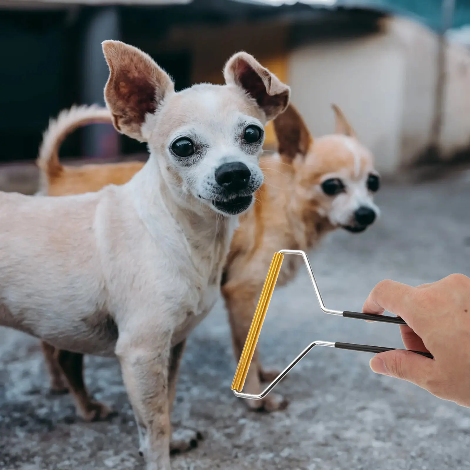 

2pcs Metal Lint Remover Double Sides Hairball Cleaner For Wool Coats Pet Hair Removal Tool Clothes Fuzz Shaver Lint Roller