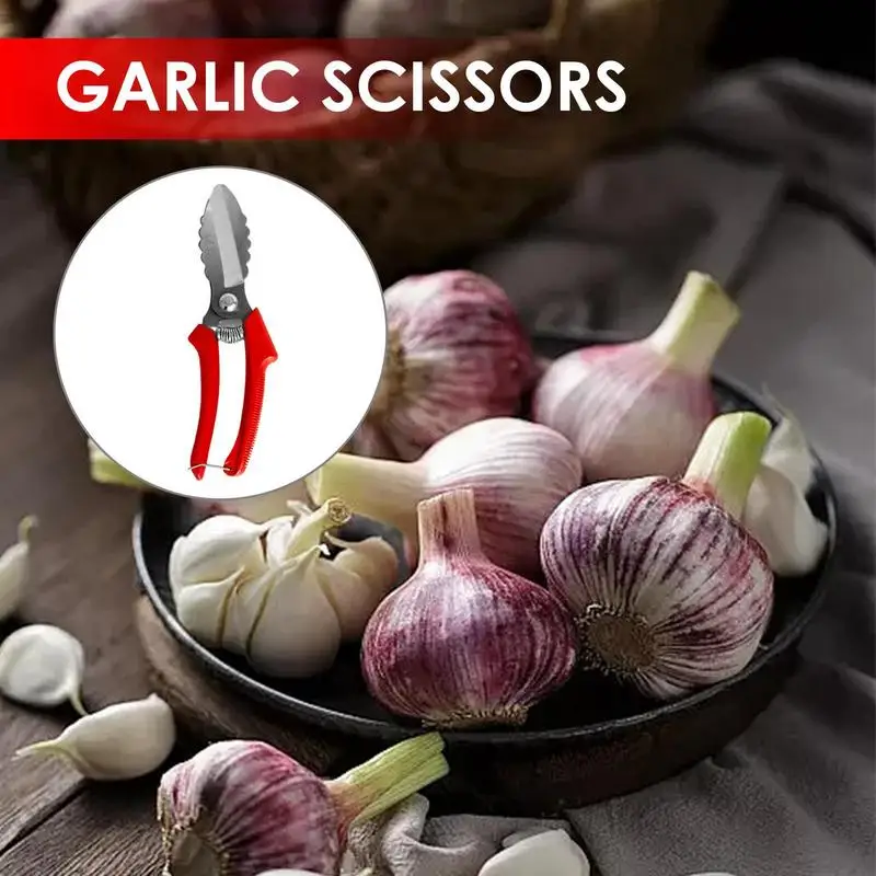 Food Scissors Food Cutter Scissors For Cooking Heavy Duty Vegetable Scissors Food Cutting Scissors For Onion Roots Sprouts