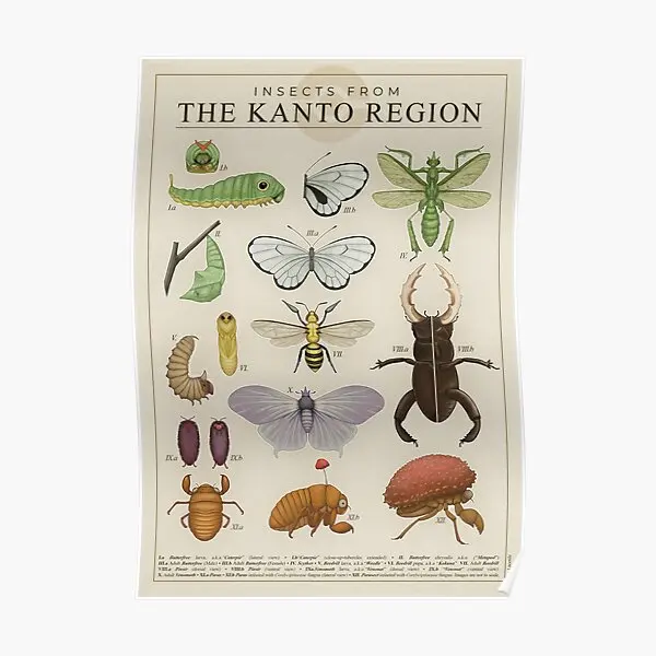 Insects From The Kanto Region  Poster Funny Mural Decoration Room Wall Print Picture Home Painting Modern Art Decor No Frame