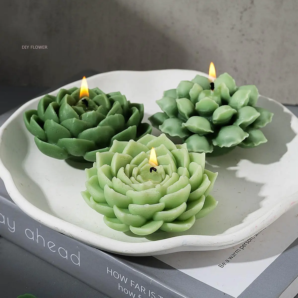 3D succulente candela stampo in Silicone fai da te fatto a mano pianta profumata sapone stampo in resina cioccolato Dessert stampo gesso mestiere