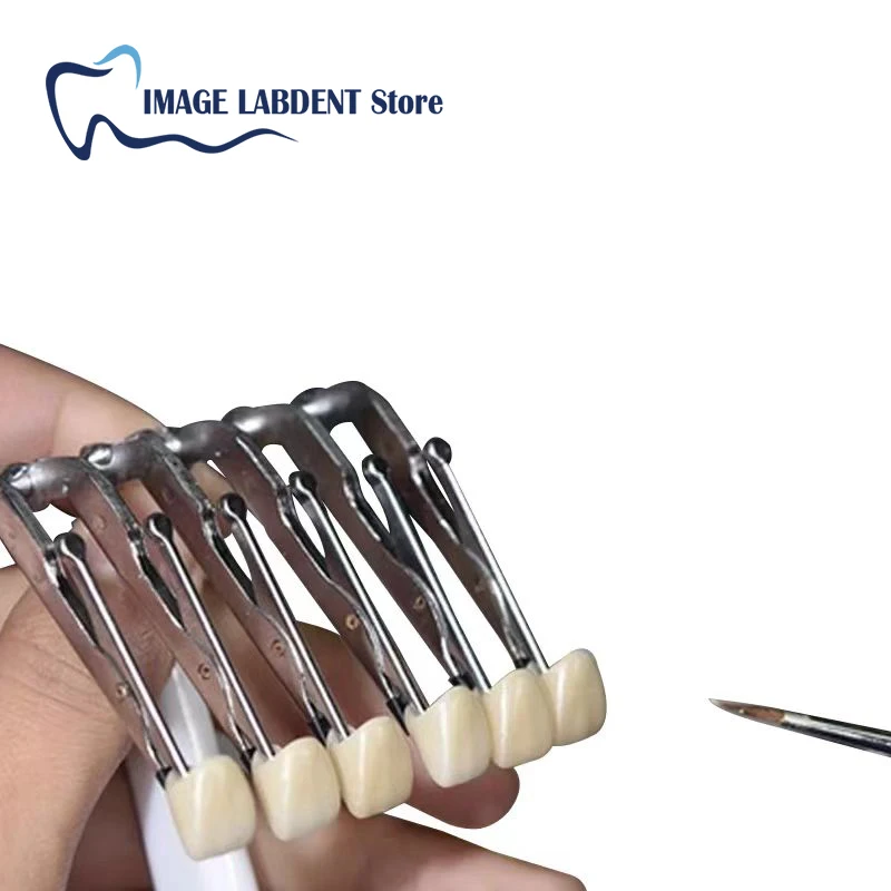 Dental Laboratory Glazed Six-tooth Clamp Ceramic Veneer Porcelain Brush Glazed Temporary Crown Holder Clamp Denture Tools Dental