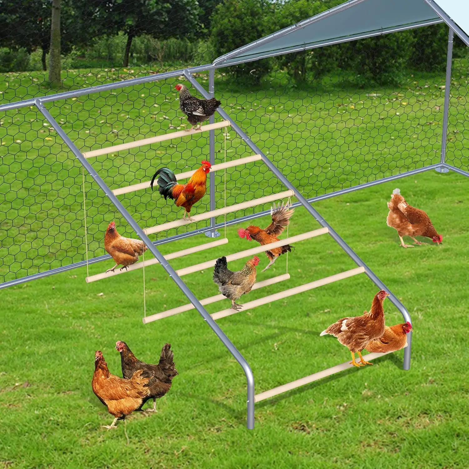 Chicken Coop Roosting Perch,Chicken RoostIing Bars, Farm Chicken Toys，with 2 Chicken Swings