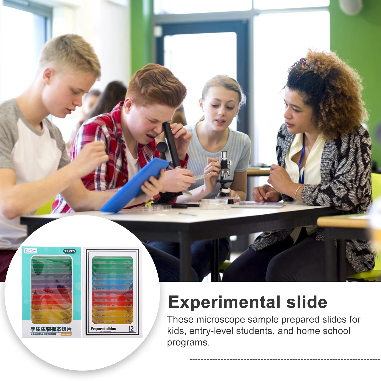Set di 24 vetrini per microscopio per bambini, kit educativo per campioni biologici con piante, insetti, fiori, campioni per esperimenti scientifici