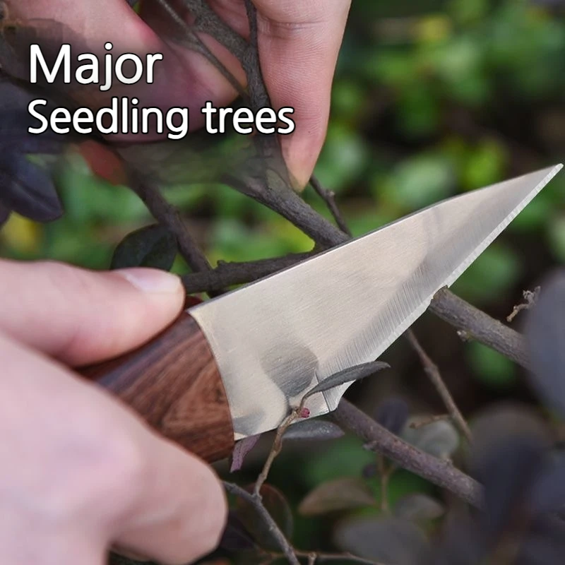 Sprout grafting knife for garden fruit trees, specialized tool for grafting fruit trees, For Grafting Branches,Super Sharp