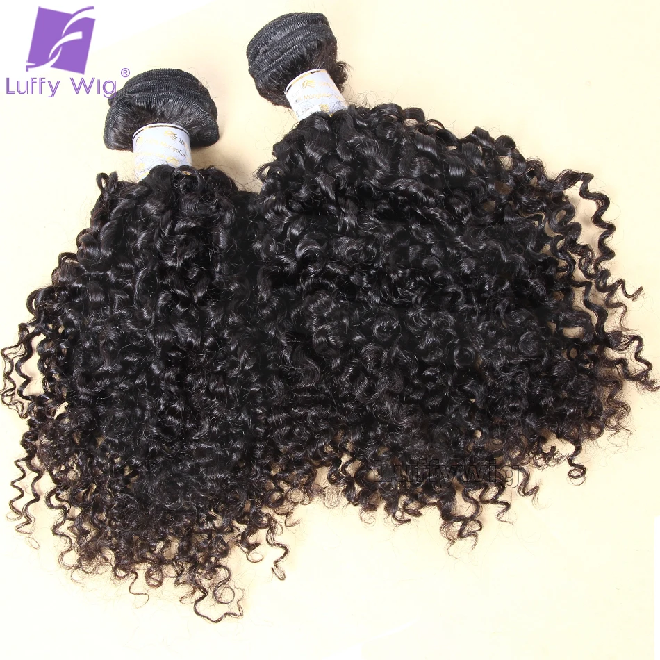 Double Drawn Full Ends Burmese Curly Hair Bundles 100% Human Hair Tight Curly Human Hair Bundles for Women Natural Black Color