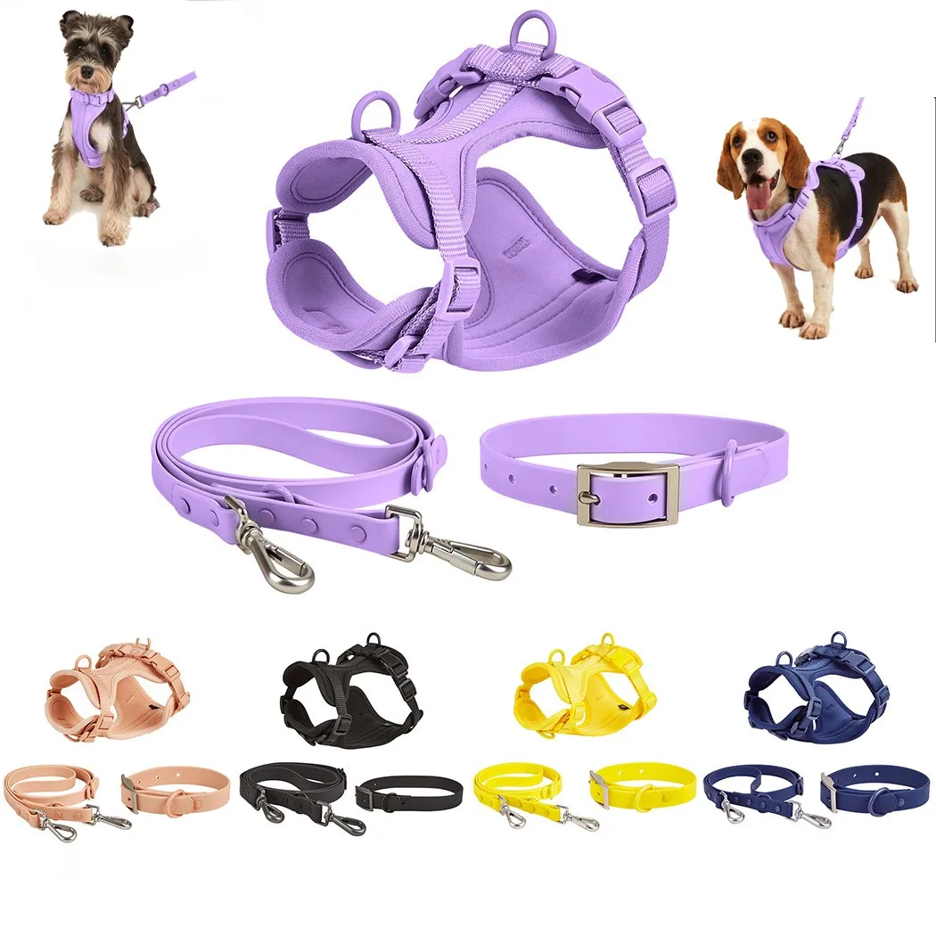 

New Four Seasons Pvc Puppy Basic Collar Dog Chest Harness Quick Release Personalized Solid Color Leash Pet Supplies Set