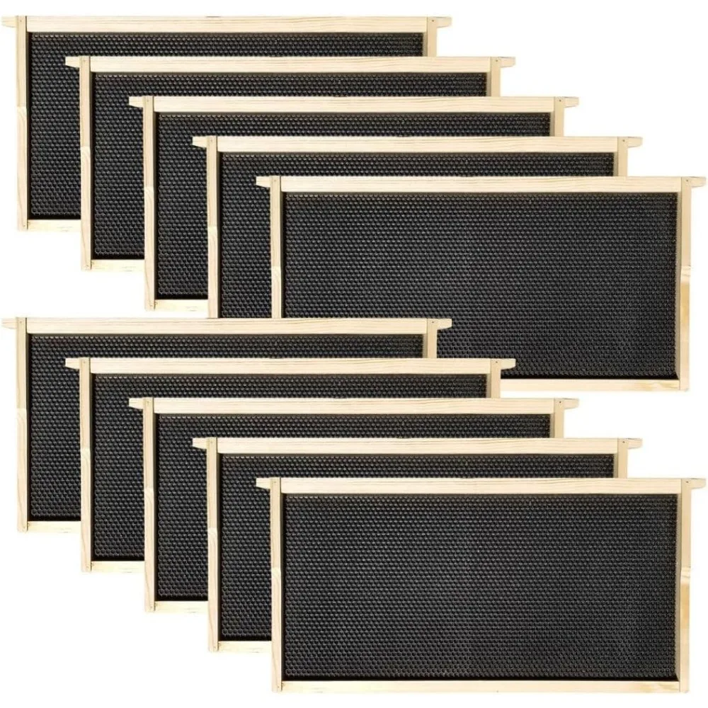 مجموعة خلية نحل مكونة من 10 إطارات مع صناديق عميقة ومتوسطة لسهولة إدارة المستعمرة