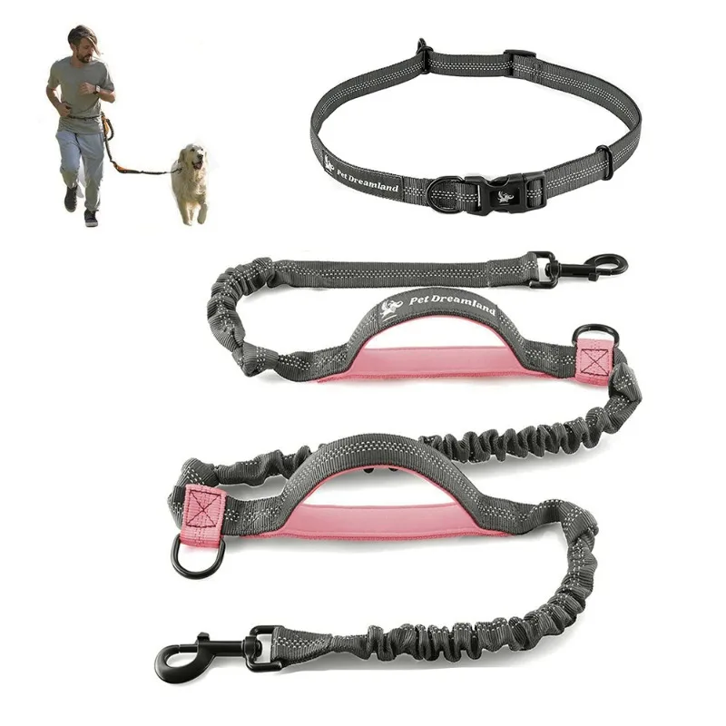 

Pet outing leash portable running, sports leash, reflective hands handle retractable dog leash dog chain