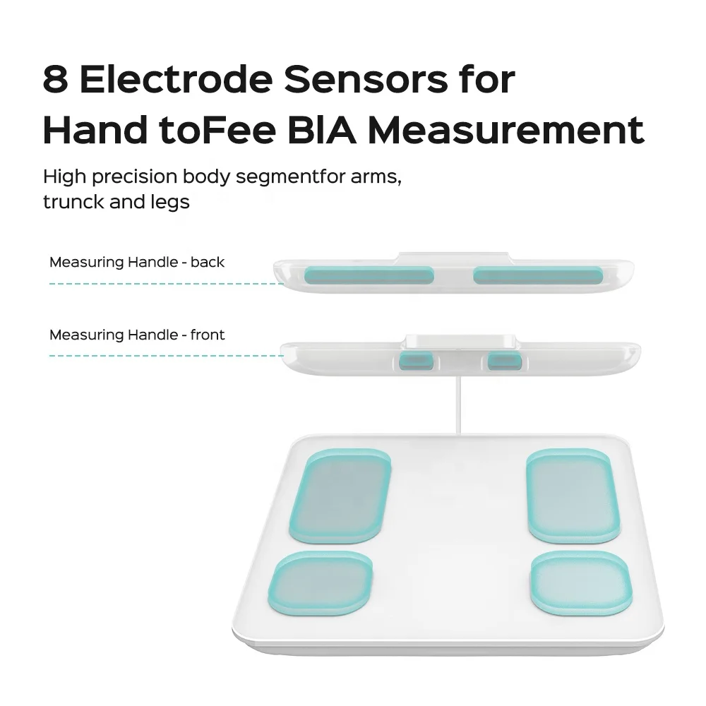 Eight Electrode Body Fat Scale Home Gym Body Composition Analysis BMI Light Weight Rechargeable Weight Scale