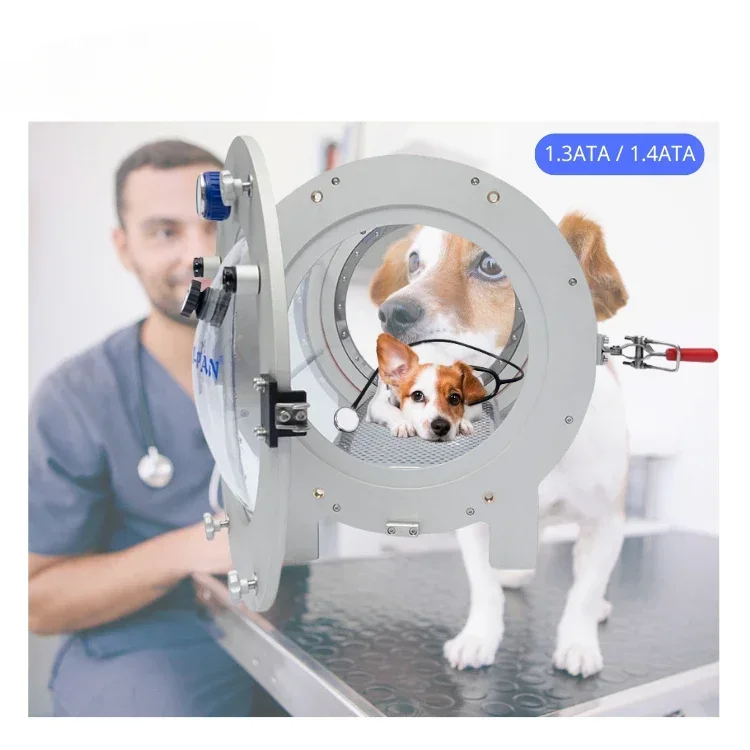 HP600 Hyperbaric Chamber Veterinary Equipment Used Portable Vaterinary Pet Oxygene Concentrator for Small Animal