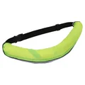 Fluorescent green