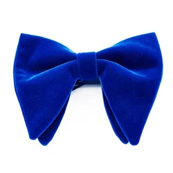 Noeud papillon double pont en velours bleu royal pour hommes, cornes de mariage, gros nœud papillon d'affaires, cadeaux de mode, bordeaux, nouveau