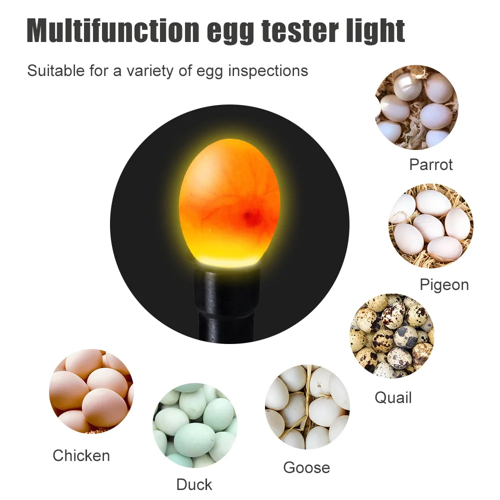 1 sztuk LED Egg Tester światła jajko Candling lampa Super zimny sprzęt inkubacji kurczaka narzędzie wykrywacz jaj wylęgowych z latarką