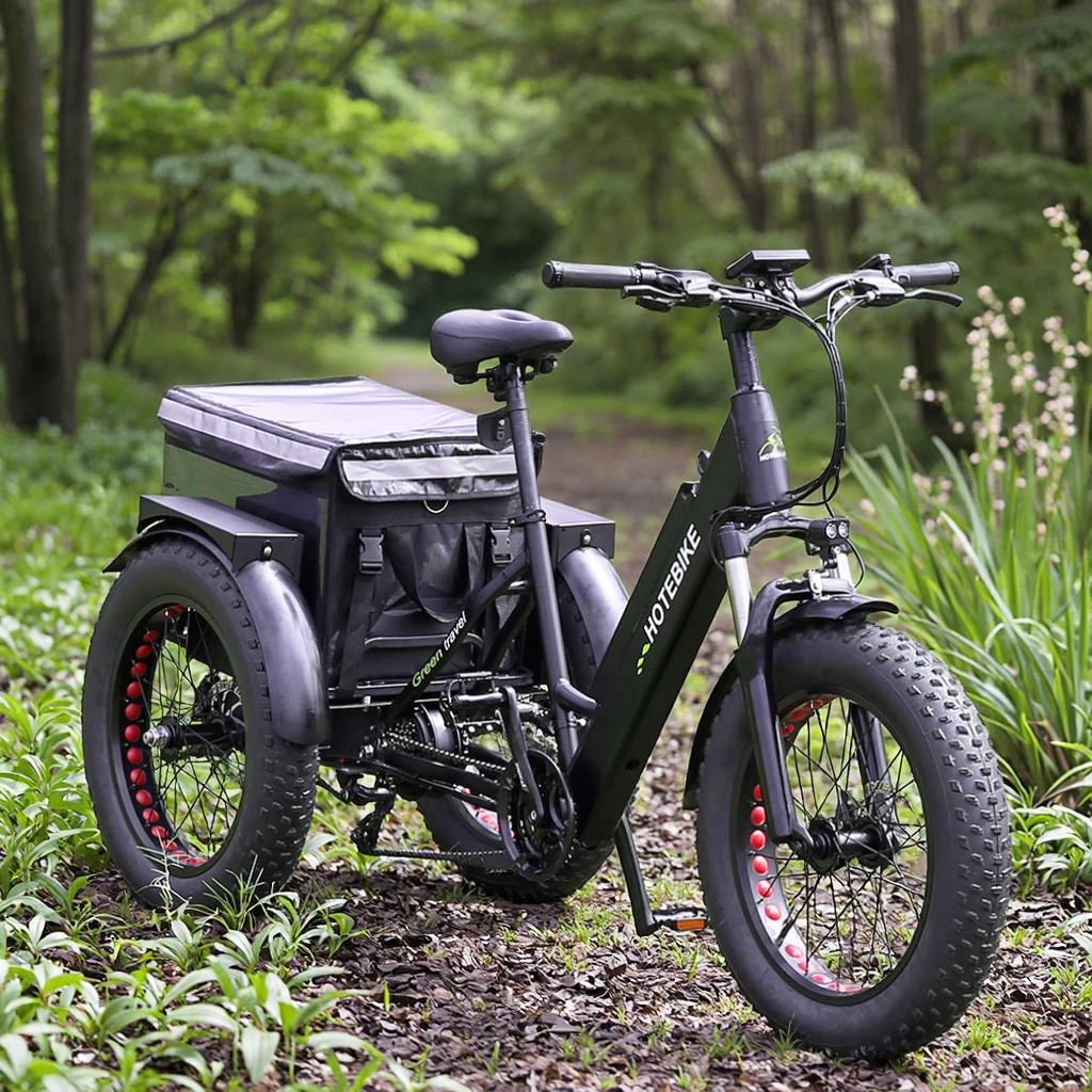 electric cargo bike ebike trike for sale