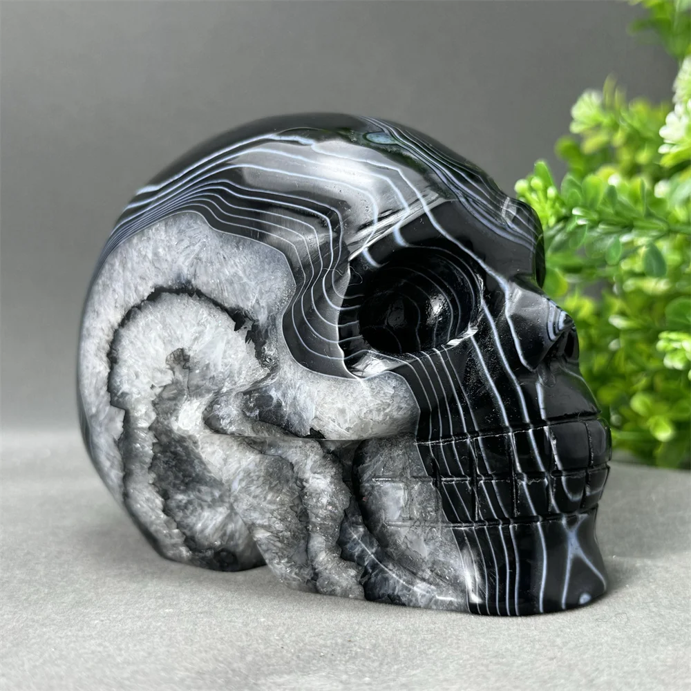 Natural High-Quality Black Agate Skull Carving Crafts Skull Energy Healing Meditation Witchcraft Home Feng Shui Ornaments Gifts