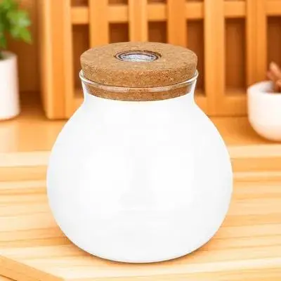 

Ecological Bottle with LED Light DIY Microlandscape Glass Bottle Borosilicate Simple Plant Terrarium Decorative Vase Interior
