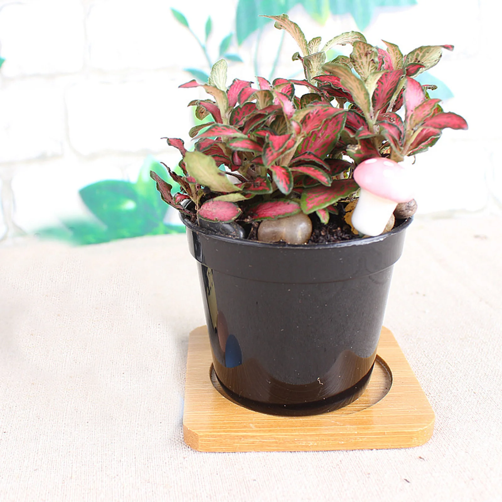 

10pcs Black Plastic Round Pot Thickening Succulent Basin Deepen Scrub Flower Garden Accessory Herb Planting School Projects Home