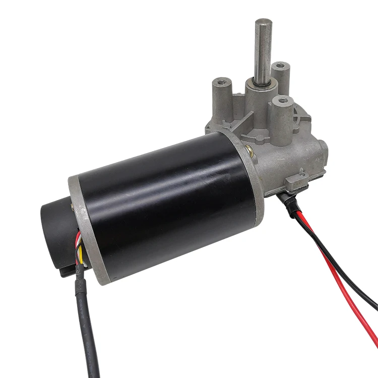 

300W Dc Worm Gear Motor Electric Wheel Chair Motor
