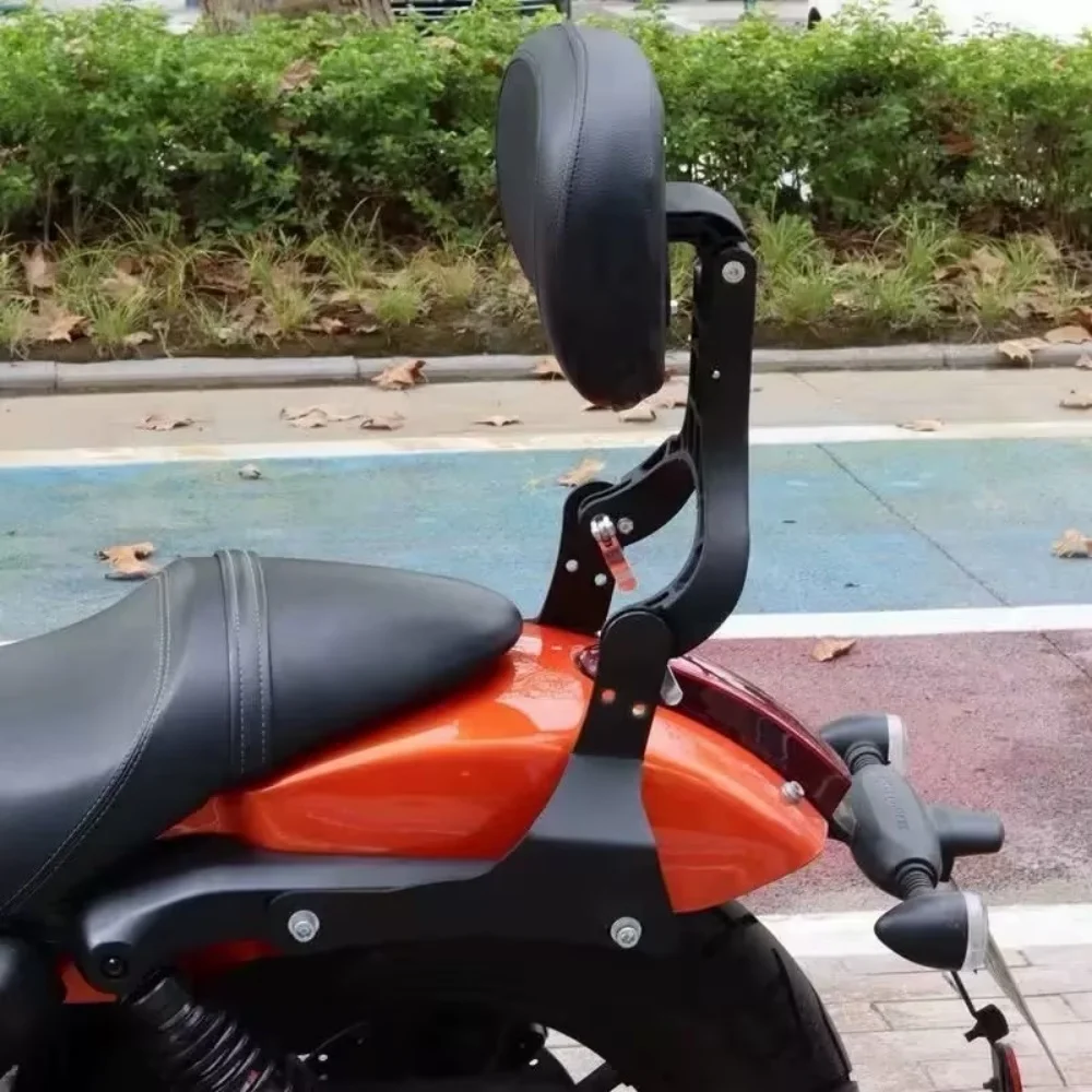 Motorcycle Fit SRV 250 V SRV 300 Motorcycle Accessories Rear Passenger Backrest For QJMOTOR