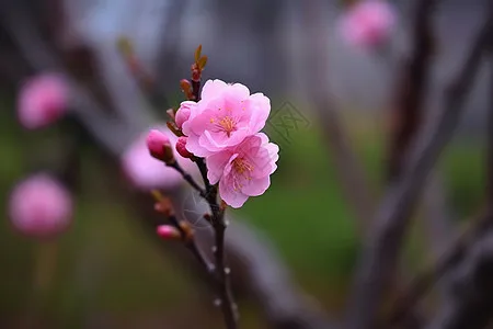 

Metal Turnbuckles Camber Links Toe Links Set Linkage for ARRMA 1/10 GORGON 4X2 VORTEKS 2WD FURY MEGA 550 QUAKE Upgrade Parts