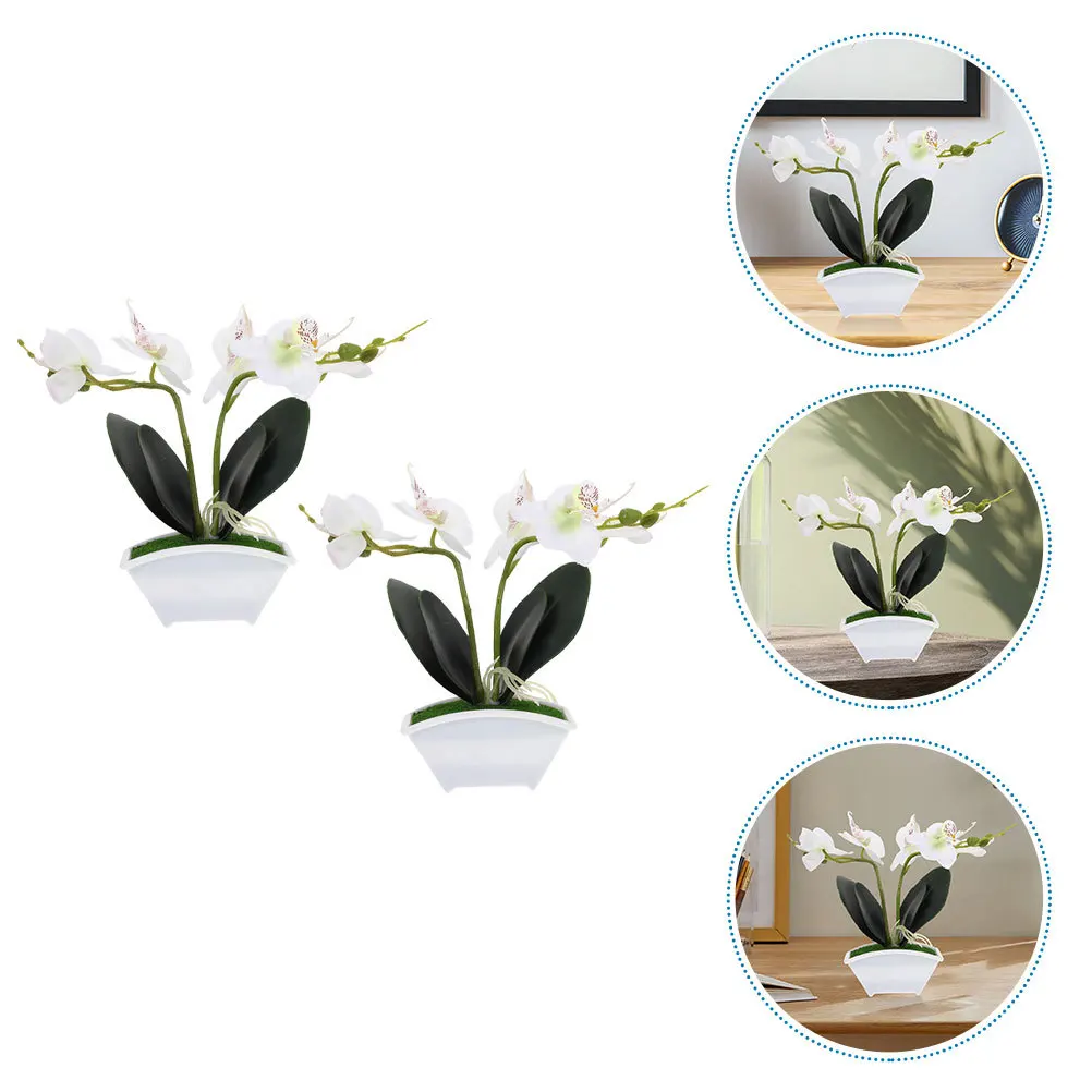 

Simulation Phalaenopsis of Potted Flowers Plants Fake Bonsai Realistic Artificial Faux Orchid