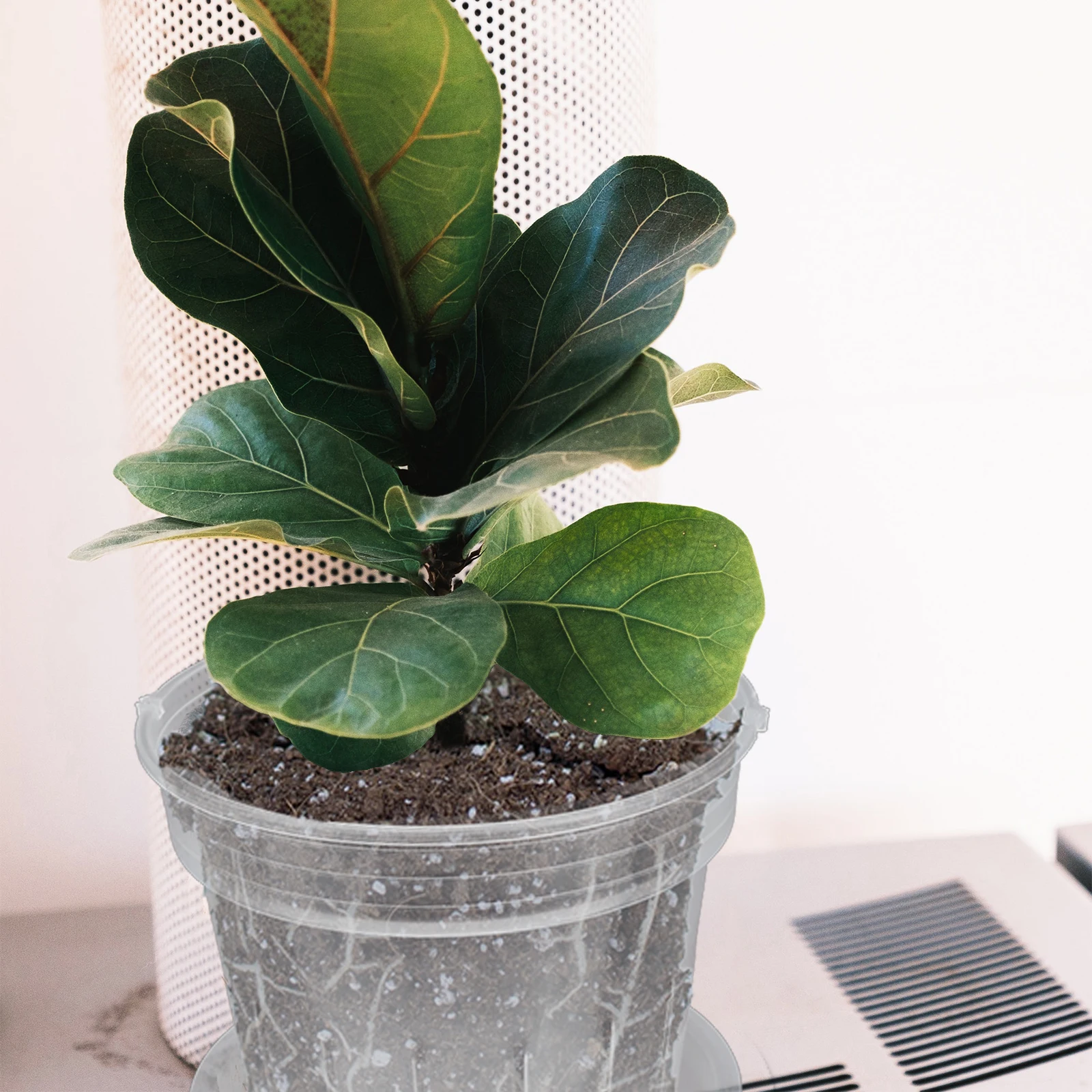 

1 set Root Control Pots Flower Pot for Home Orchid Plastic Orchid Pot with Holes Lightweight Breathable Ventilation Transparent