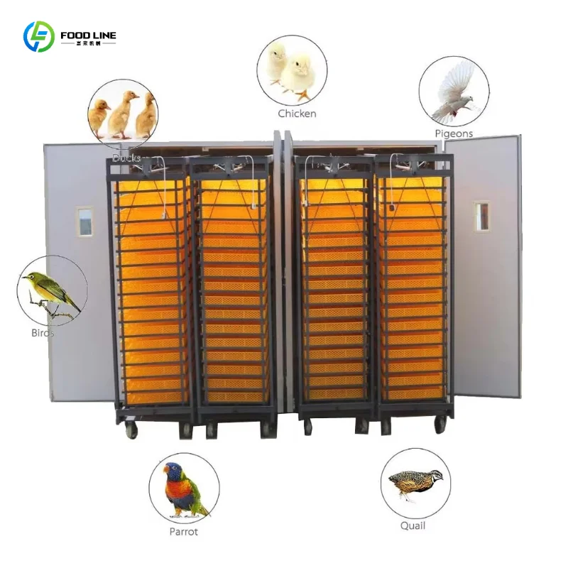 Customized Automatic Farm Industrial Large-Sized 22528-Egg Incubator Hatcher 3-in-1 Machine for Chicken & Duck 98% Hatching Rate