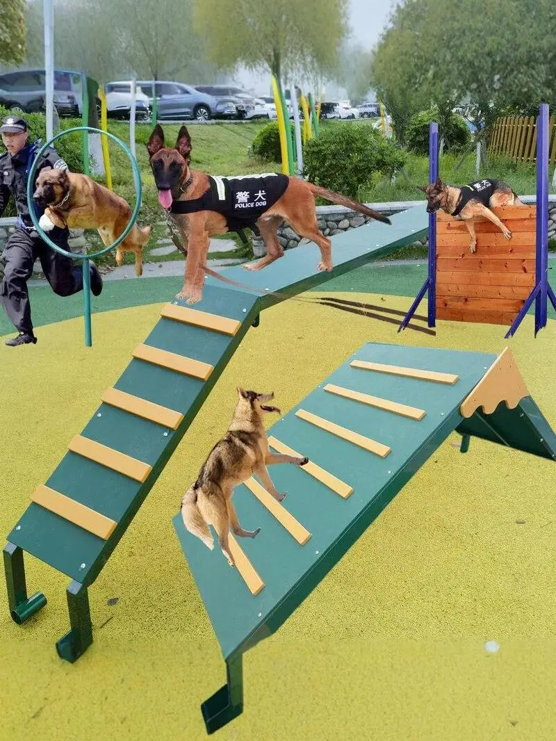 لطيف الحيوانات الأليفة الجنة الشرطة الكلب الكلب التدريب التكامل الحسي الحفر تسلق القفز تسلق سوينغ حول قضيب المادية