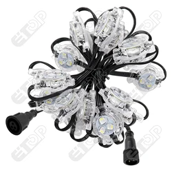 12V 24V IP68 Outdoor LED Pixel Point Lights RGBW Christmas Holiday Gemstone Track Lighting for Landscape Permanent Eave Lighting