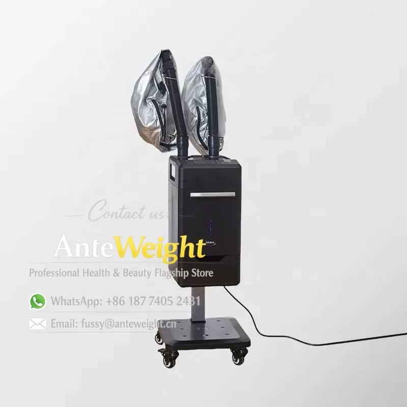 Multifunctional Portable Hair Steamer Micro Mist Machine Effective Treatment Equipment for Spa With Double Piples